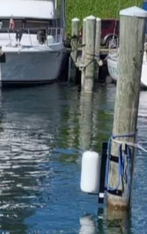 Single Piling Dock Mount w/soft rotating Polyform Fenders - Image 4