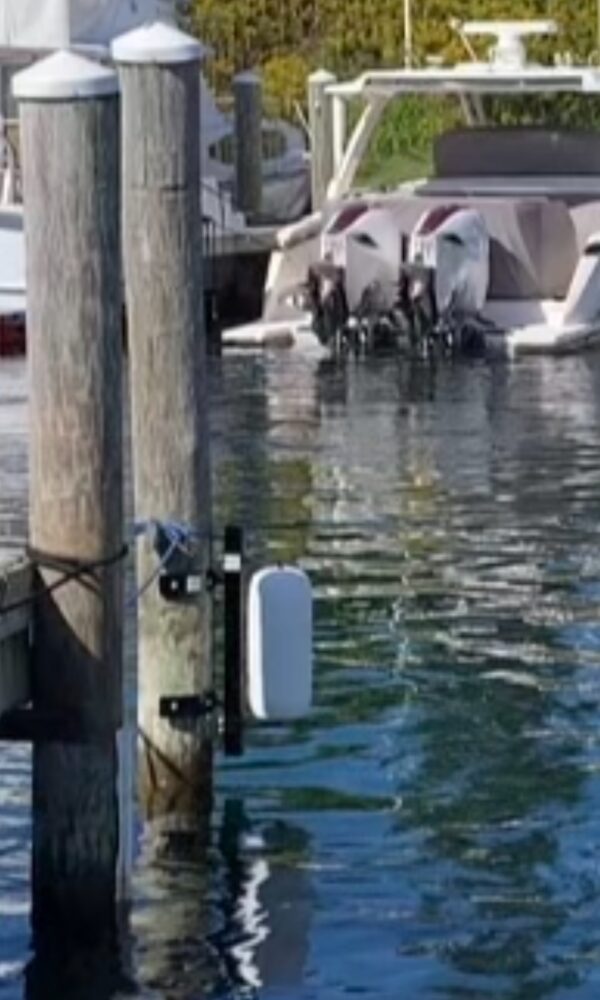 Single Piling Dock Mount w/soft rotating Polyform Fenders - Image 3